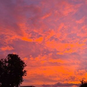 Meet your Posher, Angel